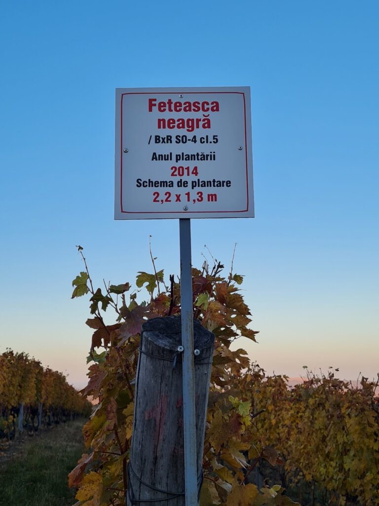 INSTRUIREA PERSONALULUI I.P. „LCTBANPC” cu privire la cerințele față de calitatea strugurilor destinați producerii vinurilor cu IGP